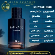 اسانس عطر ساواج دیور(Sauvage Dior)|مردانه