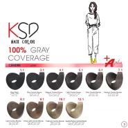 رنگ مو سری دودی کی اس دی (KSD) حجم 100میل