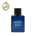 عطر جیبی مردانه بلو چنل blue channel برندینی BRANDINI - حجم 33 میل