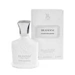 عطر جیبی زنانه و مردانه Silver Mountain برندینی Brandini